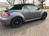 Gebraucht VW Beetle Cabriolet 150 PS (110 kW) 2017 Grau Cabrio