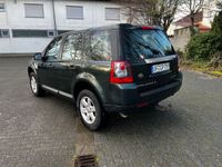 gebraucht Land Rover Freelander TD4_e XE Limited Edition XE Limit...