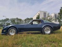 Gebraucht Chevrolet Corvette 272 PS (200 kW) 1979 Grün