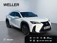 Gebraucht Lexus UX 2024 Andere SUV