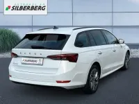 Gebraucht Skoda Octavia Ambition 150 PS (110 kW) 2023 Moonweiß perleffekt Kombi