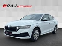 Gebraucht Skoda Octavia Active 116 PS (85 kW) 2022 Weiß Limousine