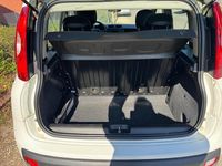 Gebraucht Fiat Panda 69 PS (50 kW) 2017 Weiß Kleinwagen