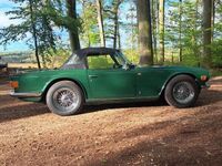 gebraucht Triumph TR6 