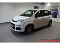Neu Fiat Panda Icon 65 PS (47 kW) 2026 Weiss Kleinwagen