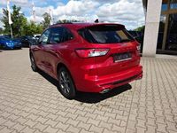 Gebraucht Ford Kuga ST-Line X 224 PS (164 kW) 2020 Luicidrot SUV