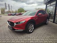 gebraucht Mazda CX-30 SKYACTIV-G Hybrid Selection