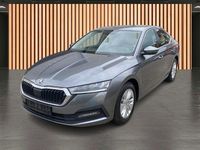 Gebraucht Skoda Octavia Ambition 110 PS (80 kW) 2023 Grau Limousine