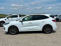 Gebraucht Ford Kuga ST-Line X 150 PS (110 kW) 2021 Frostweiß SUV