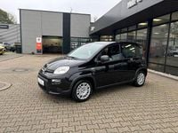 Gebraucht Fiat Panda Cross Cross 71 PS (52 kW) 2024 Schwarz Kleinwagen