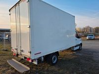 Gebraucht Mercedes Sprinter 150 PS (110 kW) 2021 Weiß Van