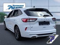 Gebraucht Ford Kuga ST-Line 224 PS (164 kW) 2022 Weiß SUV