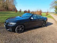 Gebraucht BMW 220 Efficient Dynamics 184 PS (135 kW) 2018 Schwarz Cabrio