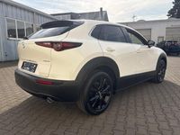 Neu Mazda CX-30 Homura-Line 140 PS (102 kW) 2026 SUV