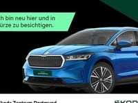 Gebraucht Skoda Enyaq iV Loft 108 kW (148 PS) 2023 Blau SUV