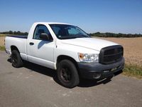 Gebraucht Dodge Ram 238 PS (175 kW) 2009 Weiß Pickup