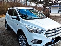 Gebraucht Ford Kuga Trend 150 PS (110 kW) 2019 Weiß SUV