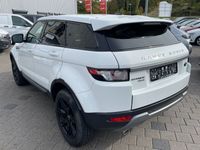 gebraucht Land Rover Range Rover evoque 2.2 eD4 Pure*Navi*Leder*Bi-Xe