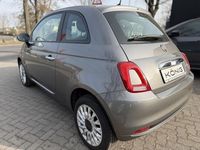 Gebraucht Fiat 500 Basis 69 PS (50 kW) 2023 Grau Kleinwagen