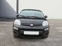 Neu Fiat Panda Icon 65 PS (47 kW) 2026 Schwarz Kleinwagen