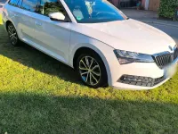 Gebraucht Skoda Superb 150 PS (110 kW) 2019 Weiß Kombi
