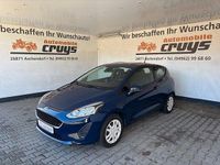 Gebraucht Ford Fiesta Trend 71 PS (52 kW) 2019 Blau Kleinwagen