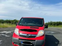Gebraucht Opel Vivaro 114 PS (83 kW) 2011 Rot Van / Kleinbus