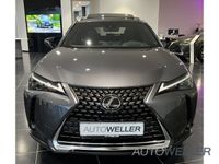 gebraucht Lexus UX 250h Executive Line *Sofort*Premium Paket*HUD*