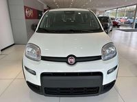 Neu Fiat Panda 69 PS (50 kW) 2025 Weiß Kleinwagen