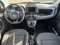gebraucht Fiat Panda 1.0 GSE Hybrid Tech/Style/Komfort-P