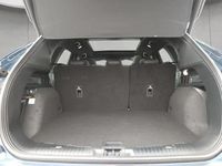 Gebraucht Ford Kuga ST-Line X 151 PS (111 kW) 2023 Blau SUV