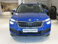 Gebraucht Skoda Kamiq Active 95 PS (69 kW) 2021 Blau SUV