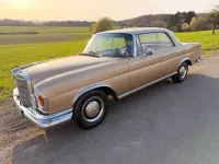 Gebraucht Mercedes 250 150 PS (110 kW) 1966 Gold Coupé