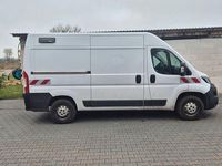 Gebraucht Fiat Ducato 140 PS (102 kW) 2019 Weiß Van