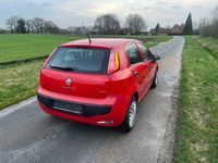 gebraucht Fiat Punto TÜV bis08/2024 Klima