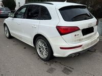 Gebraucht Audi SQ5 Comfort 313 PS (230 kW) 2013 Weiß SUV