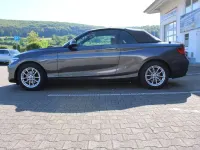 Gebraucht BMW 218 Advantage 150 PS (110 kW) 2020 Mineralgrau Cabrio