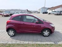 Gebraucht Ford Ka Titanium 69 PS (50 kW) 2009 Funky magenta metallic Kleinwagen