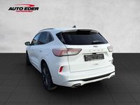 Gebraucht Ford Kuga ST-Line X 224 PS (164 kW) 2022 Frostweiß (metallic) SUV