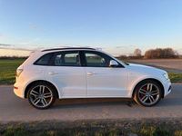 Gebraucht Audi SQ5 Competition 326 PS (239 kW) 2016 Weiß SUV