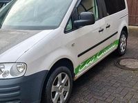 Second-hand VW Caddy 101 CP (74 kW) 2006 Alb Monovolum