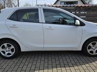 Gebraucht Kia Picanto 67 PS (49 kW) 2021 Weiß Kleinwagen