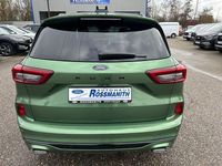 Neu Ford Kuga ST-Line 186 PS (136 kW) 2025 Grün SUV
