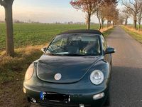 Gebraucht VW New Beetle Cabriolet 116 PS (85 kW) 2003 Grün Cabrio