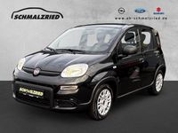 Gebraucht Fiat Panda 69 PS (50 kW) 2023 Schwarz Kleinwagen