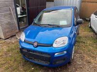 Neu Fiat Panda 69 PS (50 kW) 2025 Blau Kleinwagen