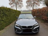 Gebraucht BMW 220 194 PS (142 kW) 2015 Grau Cabrio
