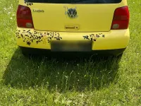Używany VW Lupo 50 KM (36 kW) 1999 Żółty Hatchback