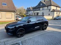 gebraucht Audi Q8 50 TDI quattro s-line, 8-fach bereift,VOLL!!!