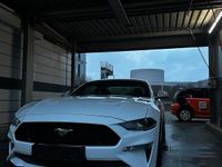Gebraucht Ford Mustang GT 460 PS (338 kW) 2023 Weiß Coupé